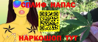 мдпв Брянск