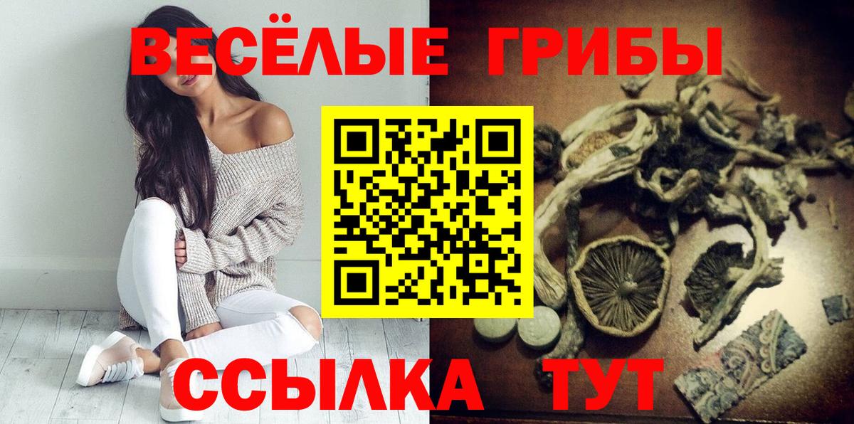 Псилоцибиновые грибы Psilocybe Асбест